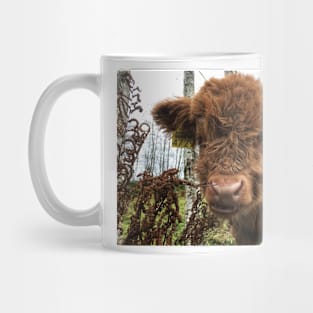 Scottish Highland Cattle Calf 1583 Mug